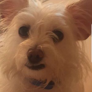 Meet your Posher, Hailey